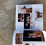  Βιβλίο 1001 γάτες