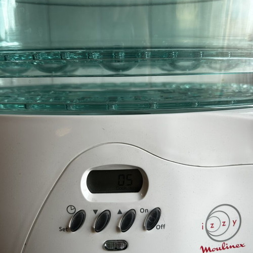 Steamy Izzy Moulinex steamer, new
