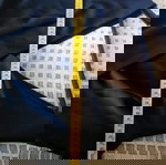  Zini φόρμα