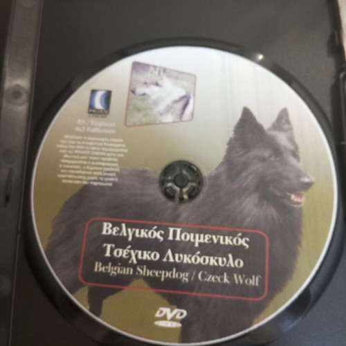 Belgian Sheepdog Czeck Wolf DVD like new, documentary dubbed
