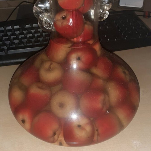 Rustic Decorative Vase with Wild Small Apples used