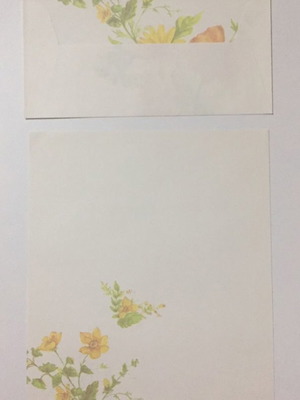 Letter writing set new, 12 pieces