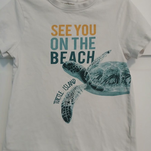 Orchestra turtle print t-shirt used, size 140 cm for 10-year-old boy
