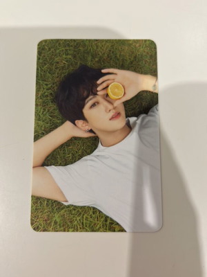 Stray Kids Changbin official photocard Nacific