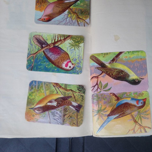 Collectible woodcuts 1930-1950, about 200 pieces