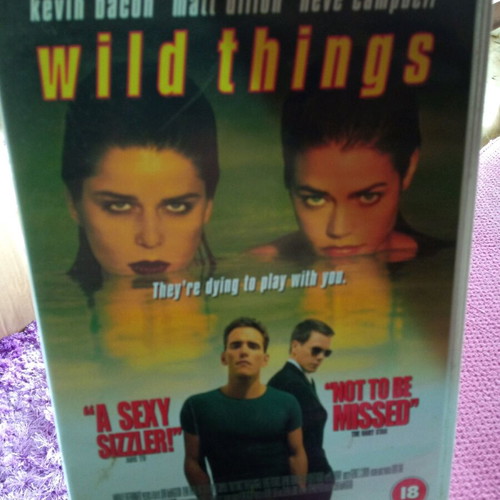 Wild Things DVD like new, adventure romance