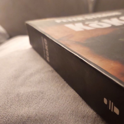 Kōko book by Peter Straub