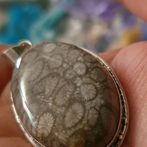 Large rare necklace with fossilized coral! Coral pendant