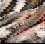  faux fur ( οικολογική γούνα)