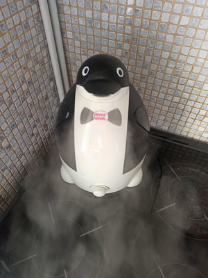 Ultrasonic Humidifier Blue Breeze by OK Baby used