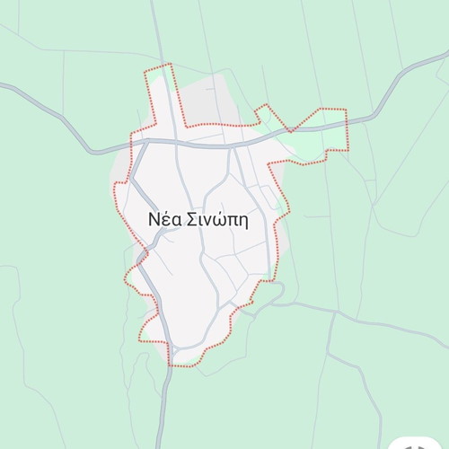 Agricultural land 2,976 m² in Nea Sinopi Preveza with 80 olive trees