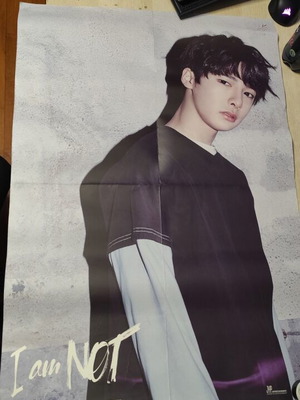 Stray Kids 1st Mini Album I Am Not μεταχειρισμένο poster μέλους I.N 76x53εκ.