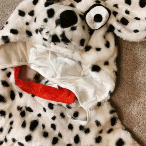 Carnival costume dog for 3-year-old child like new