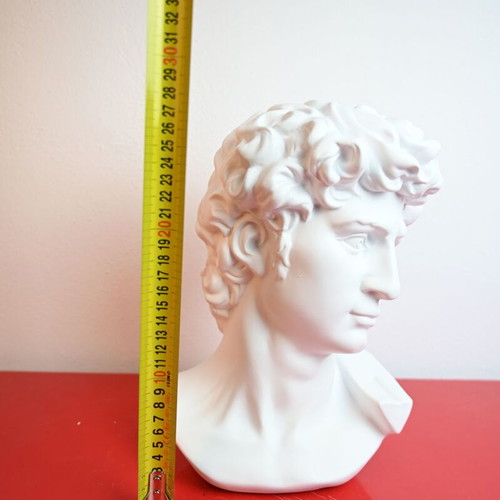 Bust of David by Michelangelo used, resin 20x28 cm