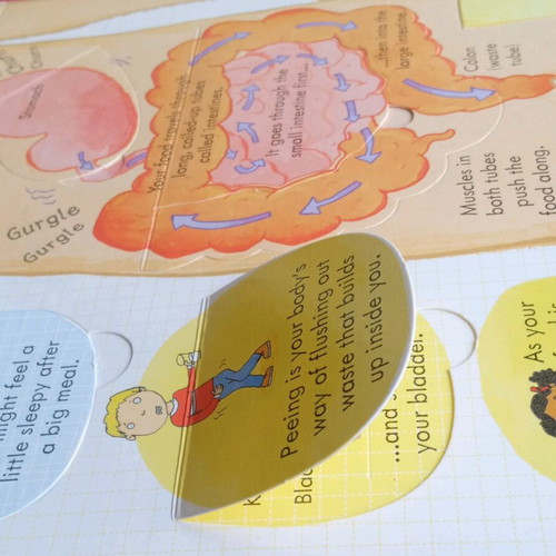 Children's book Look inside your body like new, English