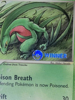 Κάρτα Grovyle 2003 Winner Stamp Black Star Promo Pokemon καινούργιο