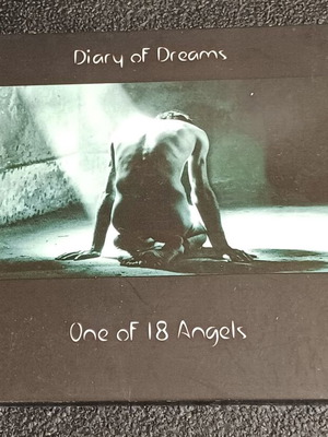 Diary Of Dreams One Of 18 Angels CD used, rock