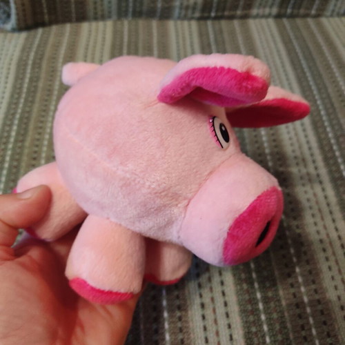 Plush pig used with velvet texture and curled tail