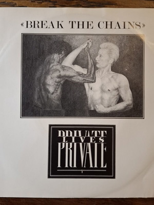 Break the Chains 45rpm record like new