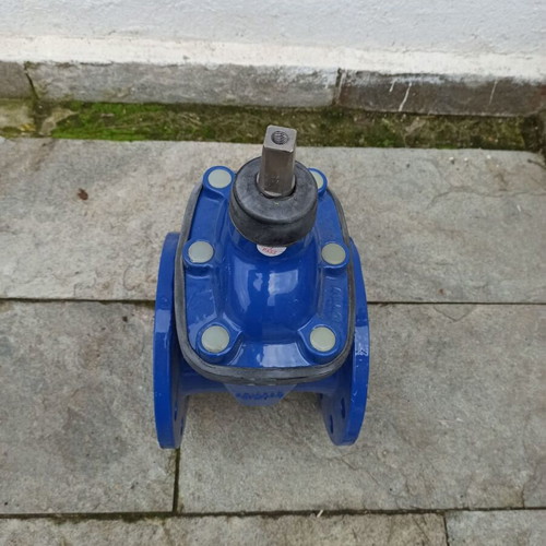 Valve DN 100 elastic sealing new, PN16 GGG50 flange connection