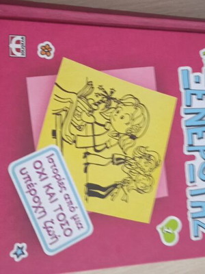 The Diary of a Wimpy Kid like new