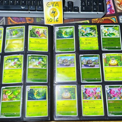 Perfect Order Pokemon Card Collection Basic Set New