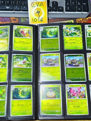 Perfect Order Pokemon Card Collection Basic Set New