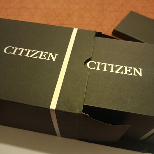 Citizen Promaster Eco-Drive Calibre 2100 wristwatch like new