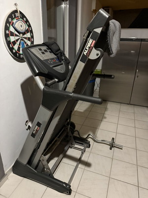Alpine E-33 treadmill used