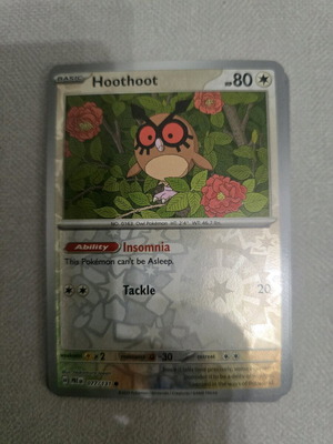 Hoothoot Pokemon card new