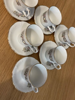 Bohemian porcelain tea set new with gold trim