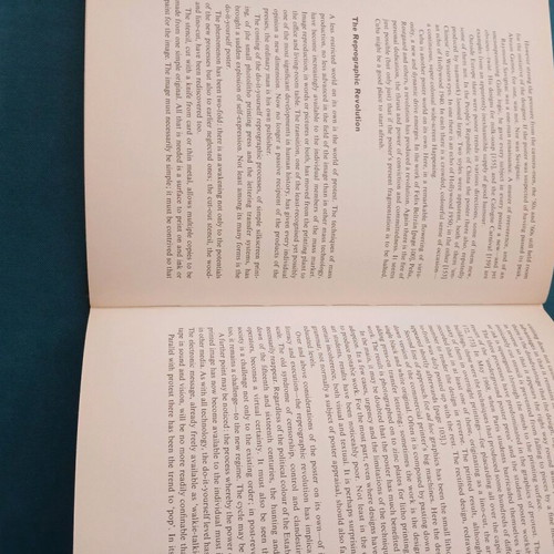 The Rise and Fall of the Poster book used, English