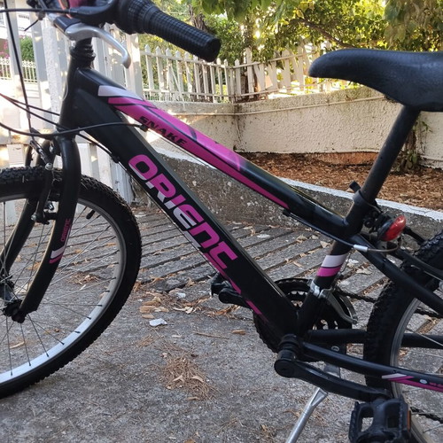 Orient Snake 24" Mountain Bike like new, 21-speed, V-Brakes