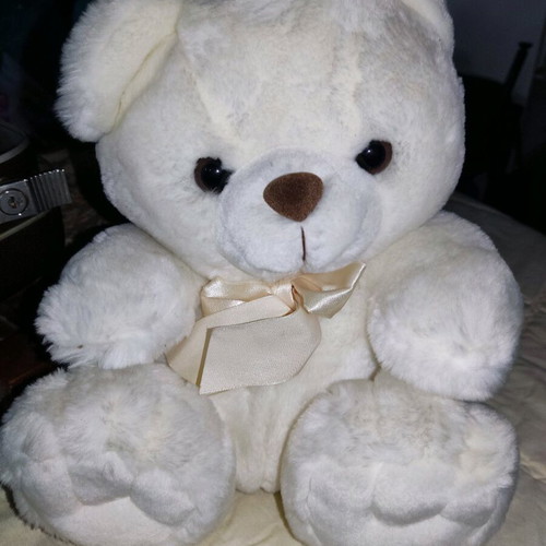 Stuffed teddy bear used