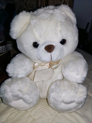 Stuffed teddy bear used