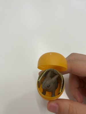 Kinder Surprise gift new with instructions