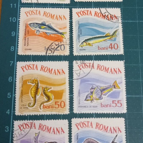 Romania 1964 fish stamps like new
