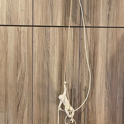 Ceiling light Monkey with LED bulb new 3D printed design
