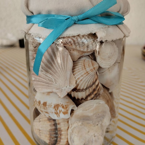 Jar with natural seashells like new