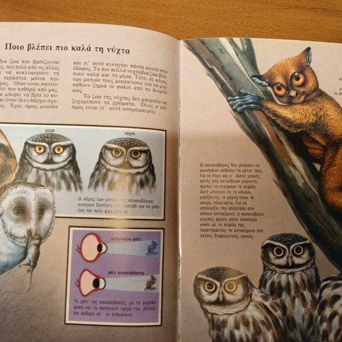 O Kosmos tis Nychtas used children's book with educational animal illustrations