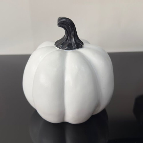 Decorative Halloween pumpkin black and white minimal style like new