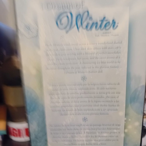 Barbie A Dream Of Winter new in box