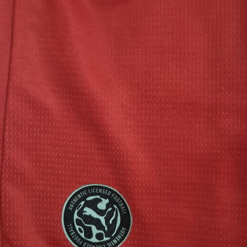 Puma AC Milan men's football jersey