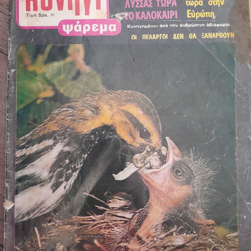 Kynigi Psarema hunting magazine 1980 issue