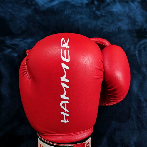 Boxing gloves like new