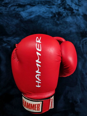 Boxing gloves like new