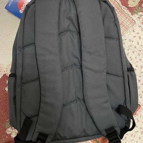 Lyc Sac Jurassic Park backpack new with tags gray