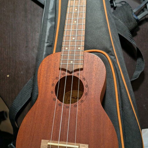 Ukulele new with case, new strings and picks