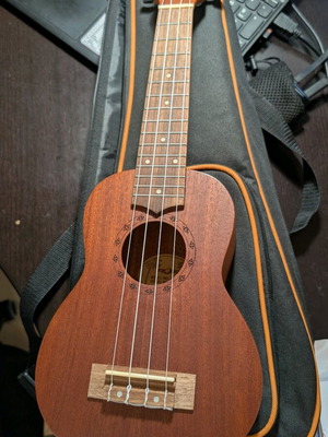 Ukulele new with case, new strings and picks