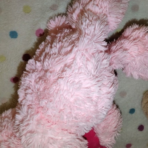 Stuffed toys used, pack for girls
